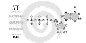 Abstract silhouette of the polygonal molecule ATP acid on white background. Skeletal, organic formula.