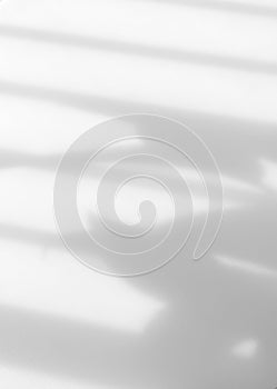 Abstract, simple and modern light gray wavy lines on white background