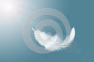 Abstract a Single White Bird Feather Floating in The Sky. Flying Swan Feather.