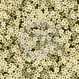 Abstract small white flowers seamless pattern