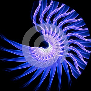 Abstract smoke shapes repeating in round, shell shape in blue and pink against a black background