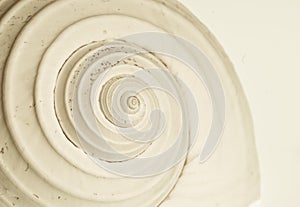 Abstract snail spiral