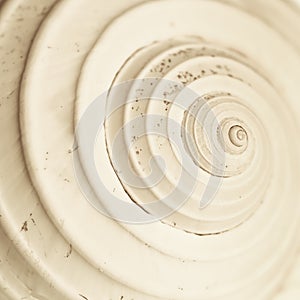 Abstract snail spiral