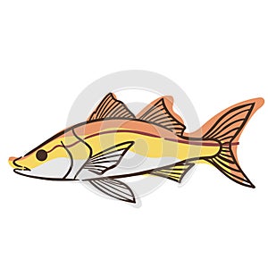 Abstract snook fish doodle sign illustration for decoration on marine life, aquarium, fishing and nautical concept