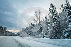 Abstract snow-covered forest with motion blur