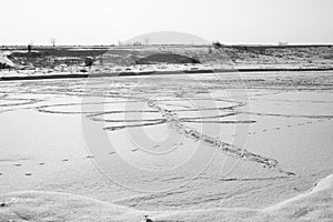 Abstract snow shapes with plants