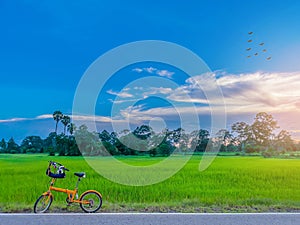 Abstract soft blurred and soft focus the silhouette of paddy rice field with the bicycle, the sunset, the beautiful sky and cloud