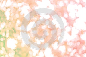 abstract soft bokeh circle pink and green beauty light background. fresh flare growing colorful effect design