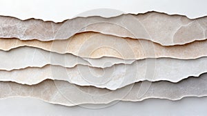 Abstract soft edged paper cut forms resembling natural textures photo
