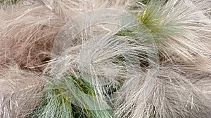Abstract soft fluffy texture background in white silver pink green and gold with glittering shimmer effect