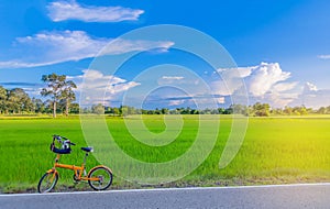 Abstract soft focus semi silhouette the bicycle,green paddy rice field with the beautiful sky and cloud in the evening in Thailand