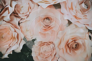 The abstract soft sweet pink flower background