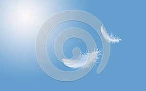 Abstract Softness of White Bird Feather Floating in Blue Sky. Feathers Flying in Heavenly.