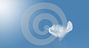 Abstract Softness of White Bird Feather Floating in Blue Sky. Feathers Flying in Heavenly.
