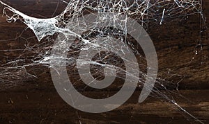 Abstract Spiderweb on wood background