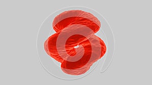 Abstract spinning liquid red spiral transforming with ripples, seamless loop. Design. Colorful unusual water object in