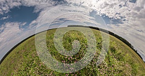 Abstract spinning of a tiny planet with transformation into a blue globe or sphere in grass with clover flowers