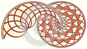 Abstract Spiral Shell Pattern, Organic Geometric Design, vector design Generative AI
