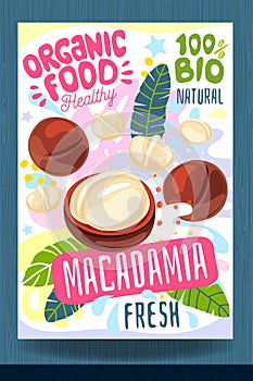 Abstract splash Food label template. Colorful brush stroke. Nuts, vegetables, herbs, spices, package design. Macadamia
