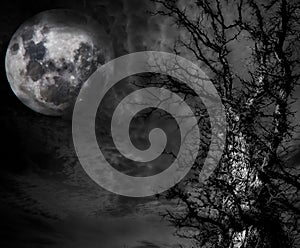 Abstract Spooky Tree and moon