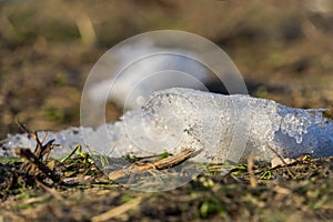 Abstract spring background of grass  under melting snow