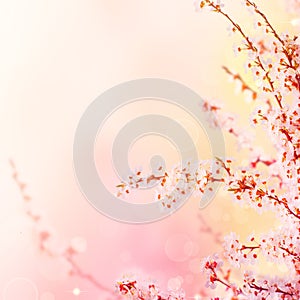 Abstract spring background