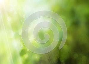 Abstract spring nature background