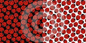Abstract Spring Or Summer Seamless Pattern Background With Ladybugs Textile Vector Illustration Art