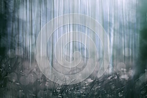 Abstract springtime forest background