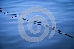 Abstract squiggly black reflection on blue rippled water
