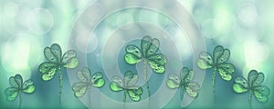Abstract St. Patrick`s day background decorated with shamrocks. Gentle green spring background copy space