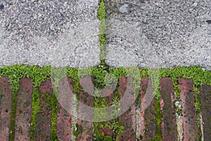 Abstract stone and brick texture with moss