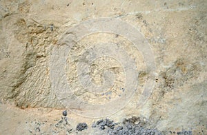 Abstract Stone Textures surface background closeup