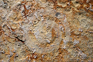 Abstract Stone Textures surface background closeup