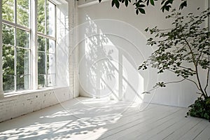 Abstract studio room with sunlight and leaf shadows