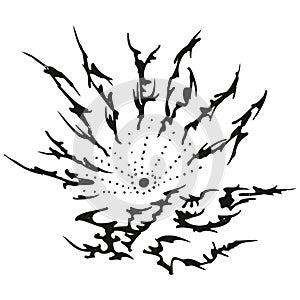 Abstract stylized B&W sun fire