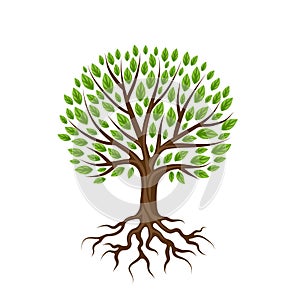 Abstract stylized tree with roots and leaves. Natural illustration