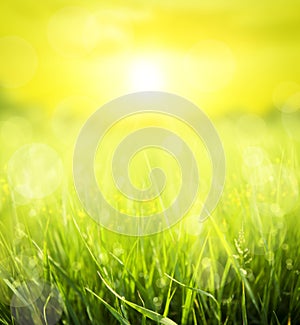 Abstract summer background