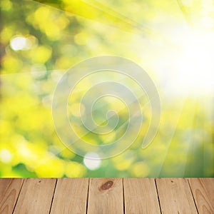 Abstract Summer Soft Focus Bokeh