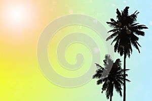 Abstract summer tropical backgrounds set with coconut. Colorful palm trees illustration pattern yellow and blue background