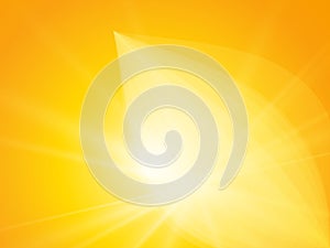 Abstract sun flower rays background