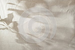 Abstract sun light shadow silhouette on beige textile, aesthetic floral background, copy space