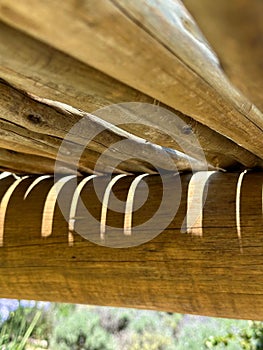 Abstract sunlit wooden structure