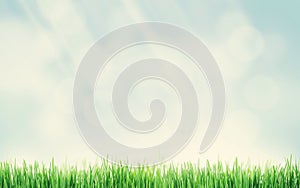 Abstract sunny spring background