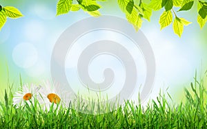 Abstract sunny spring background