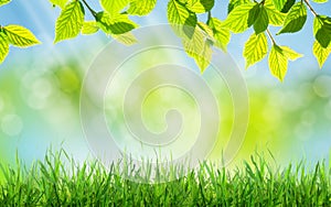 Abstract sunny spring background