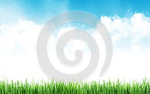 Abstract sunny spring background