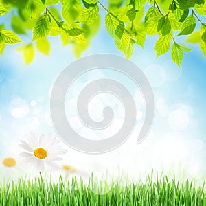 Abstract sunny spring background