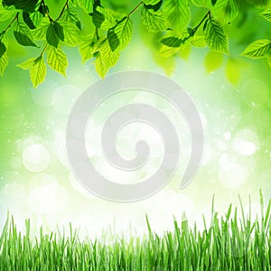 Abstract sunny spring background