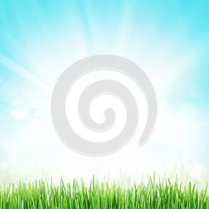 Abstract sunny spring background